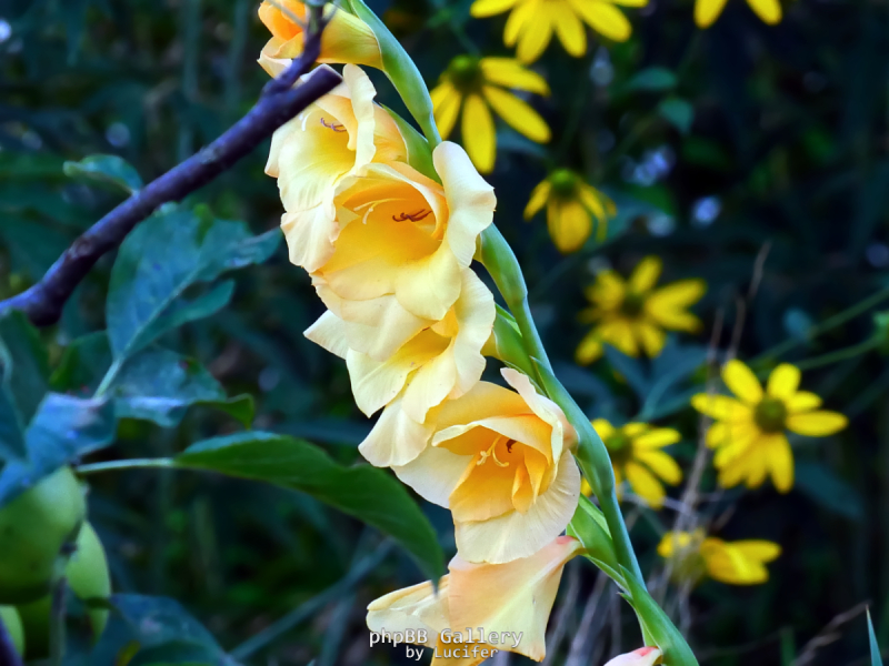 P1042991-